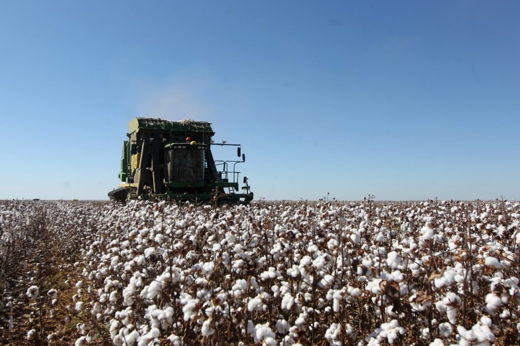 Bahia: conheça curiosidades de 5 cidades que impulsionam o agronegócio no país