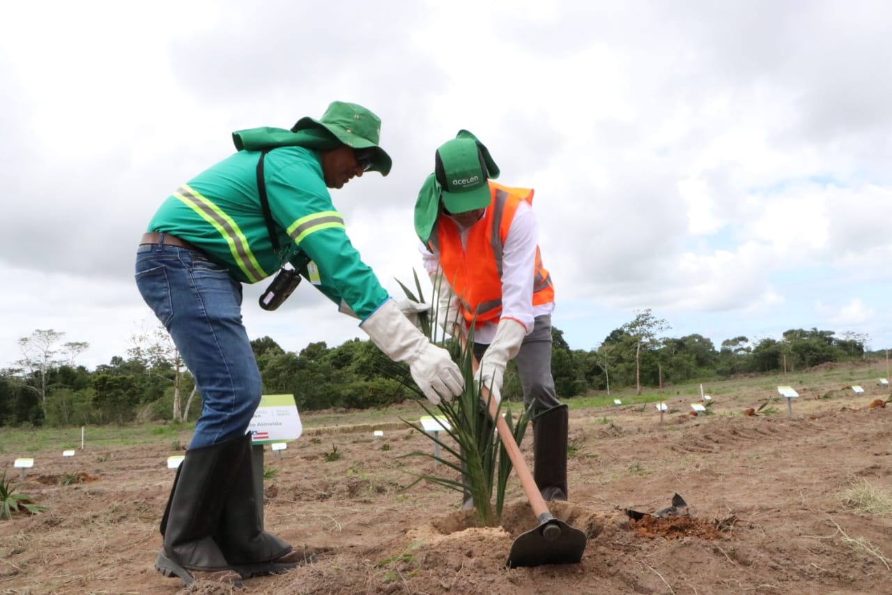 Cachoeira recebe primeira fazenda-modelo para produção de combustíveis renováveis na Bahia