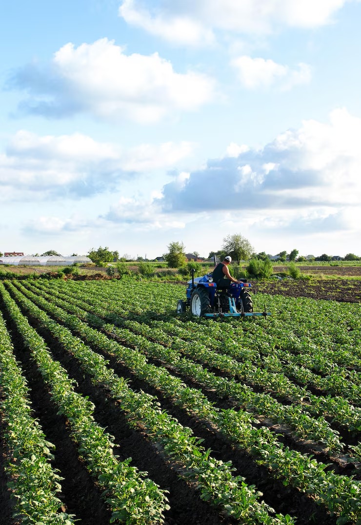 PIB do agronegócio na Bahia totaliza R$ 19,8 bi no primeiro trimestre de 2025