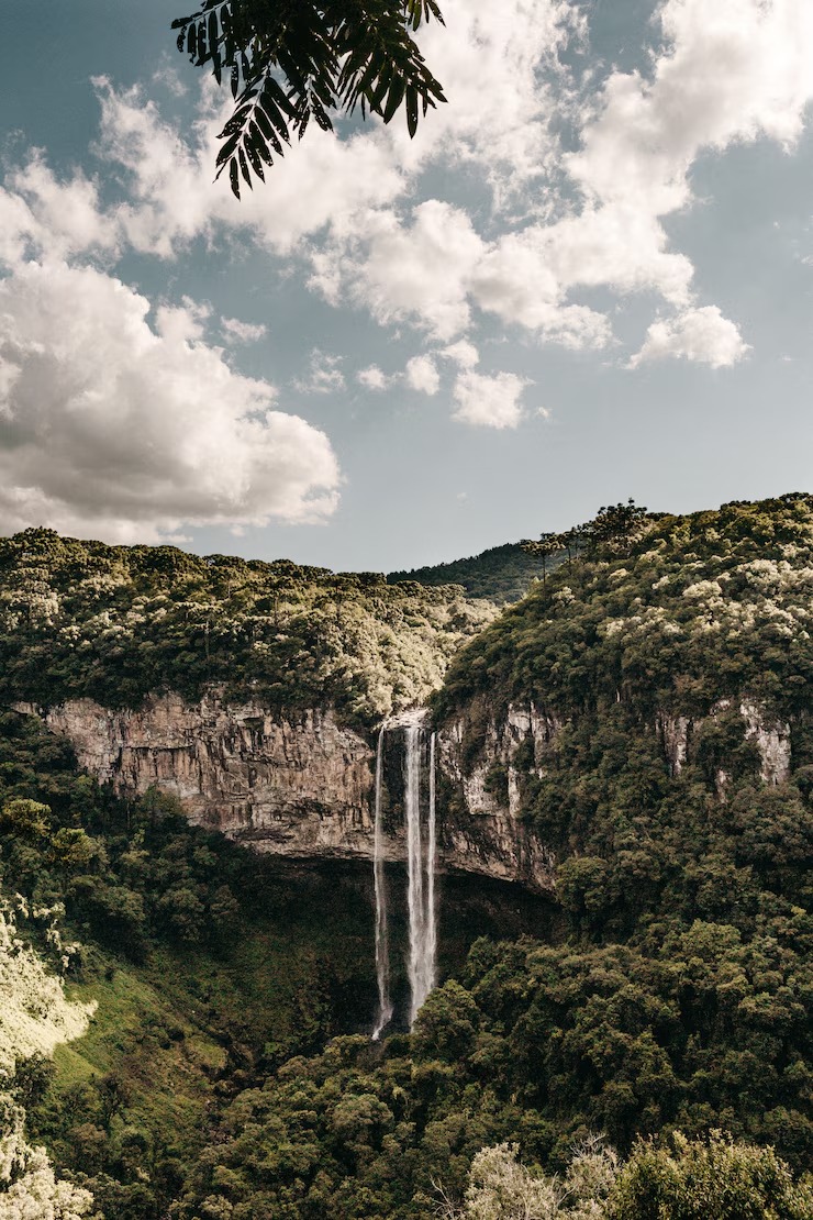 Entenda como funciona o recém-criado Fundo de Compensação Ambiental na Bahia