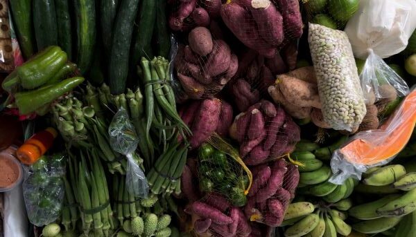 UFBA recebe, de hoje (08) até sexta (12, o quinto Encontro Nacional de Pesquisas em Gastronomias