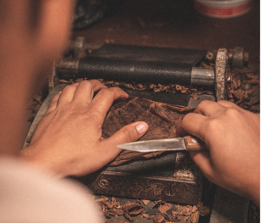 Recôncavo Baiano avança na conquista do selo de Denominações de Origem para tabaco e charuto