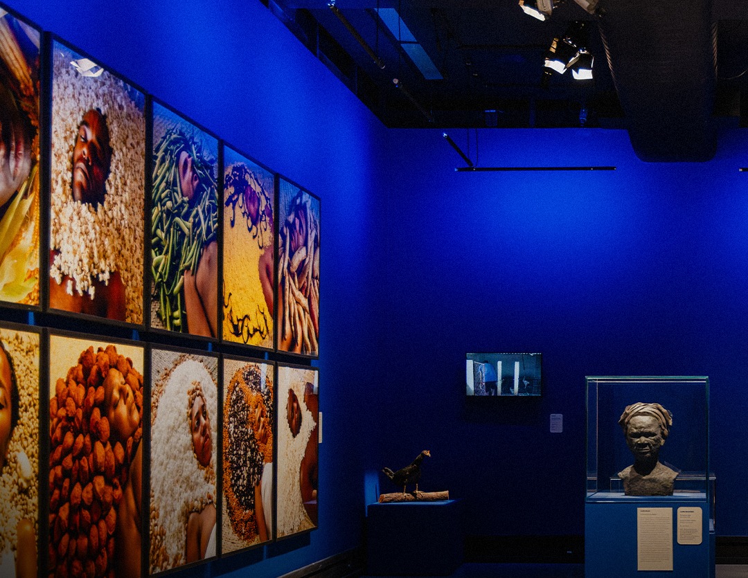 Salvador ganha exposição que reúne mais de 70 artistas em torno do sertão