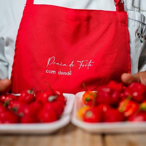 Praia do Forte vai sediar mais um festival de gastronomia