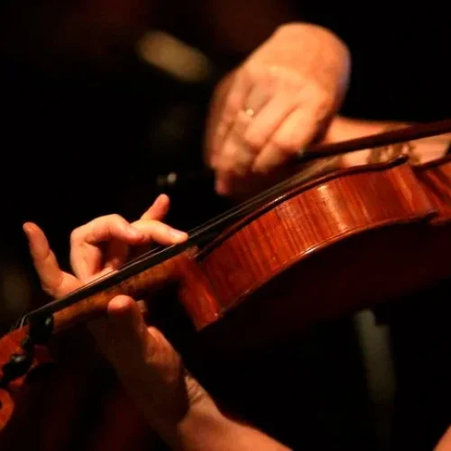 Teatro Castro Alves inicia primeira edição da jornada 2025 dos cursos de iniciação à música sinfônica