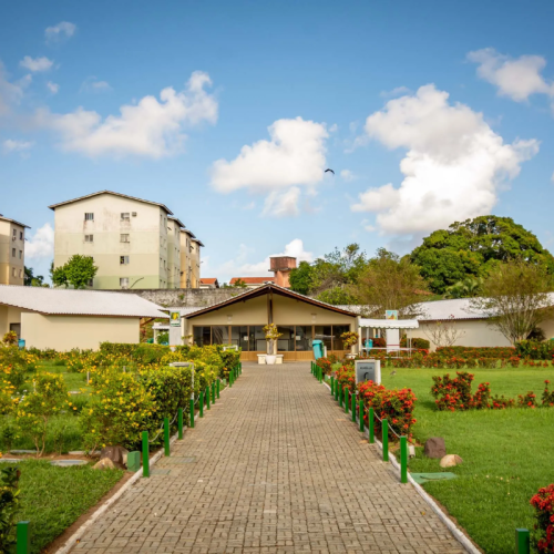 Proposta municipal sugere que cães e gatos sejam sepultados ao lado de seus tutores