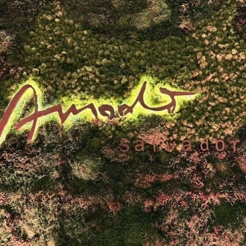 Cena gastronômica baiana fecha 2025 com reconhecimento internacional