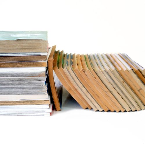 Livros velhos podem ser trocados por mudas de planta durante a Flipelô 2025