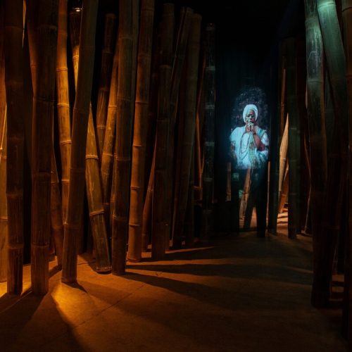 Casa das Histórias de Salvador inaugura nova exposição Floresta de Infinitos neste sábado 