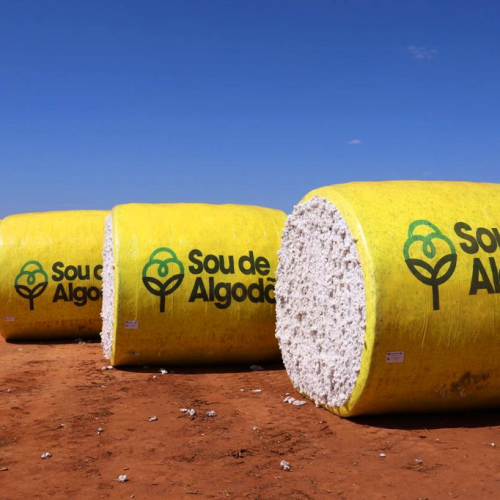 Foto: Mateus Pereira/GOVBA