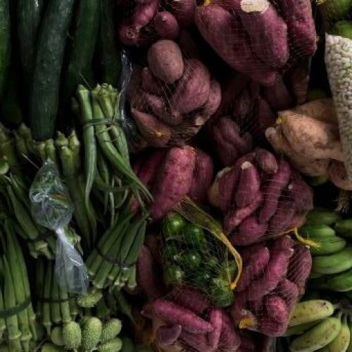 UFBA recebe, de hoje (08) até sexta (12, o quinto  Encontro Nacional de Pesquisas em Gastronomias