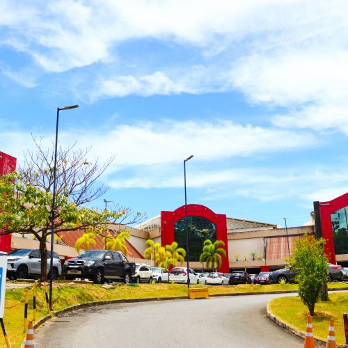 Fevereiro começa em clima de festa com a Lavagem da Ceasinha no Rio Vermelho