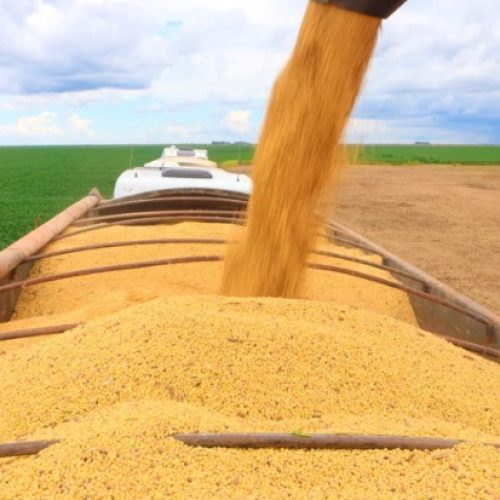 Safra de grãos na Bahia deve crescer mais de 7% em 2025, segundo IBGE e Conab