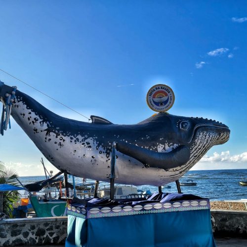 Baleita Pirapuã volta à Lavagem de Itapuã com efeitos inéditos