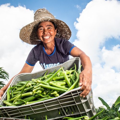 Crédito: divulgação/GOV.BA