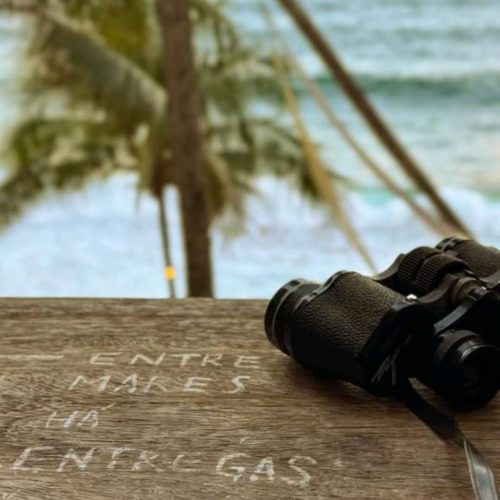Blue Praia é um pontos de observação das baleias-jubarte em Salvador