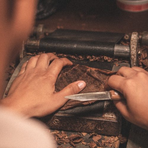 Recôncavo Baiano avança na conquista do selo de Denominações de Origem para tabaco e charuto