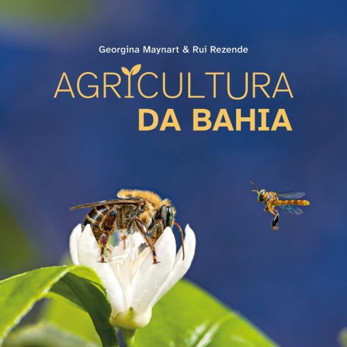 Georgina Maynart e Rui Rezende lançam livro que celebra agricultura baiana