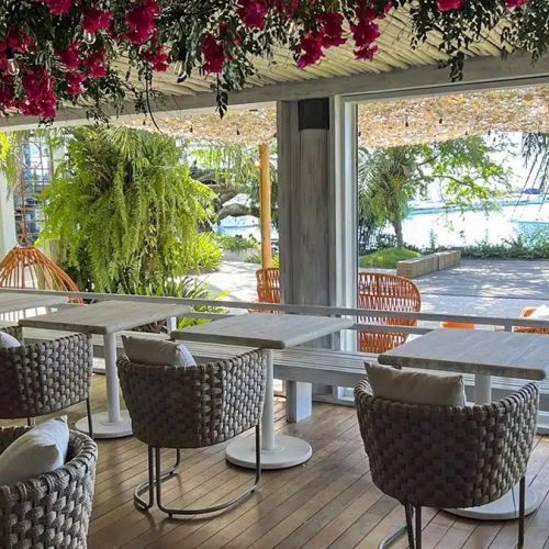 Festival de trufas negras reúne chef italiano e menu especial no Lotti Cucina
