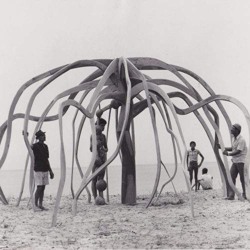 No MASP, exposição de Frans Krajcberg tem 13 obras cedidas pelo Governo da Bahia