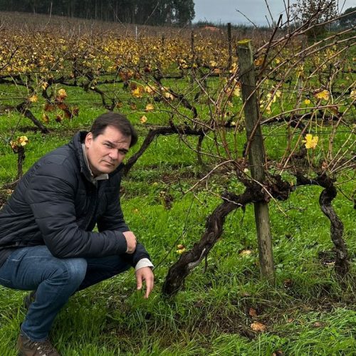 Marcos Gordilho fa wine trip em Portugal