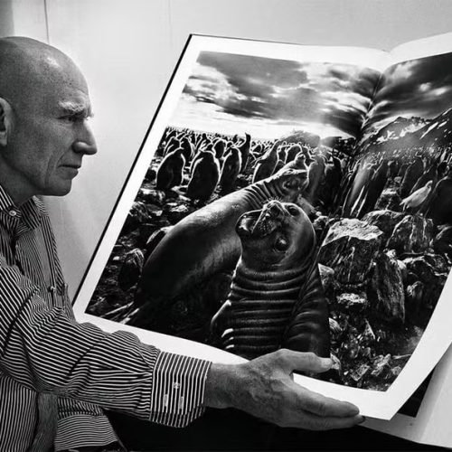Morre Sebastião Salgado, um dos maiores nomes da fotografia mundial