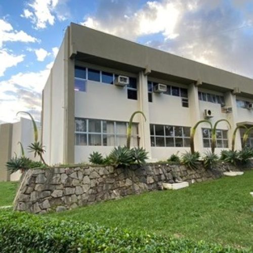 Pesquisadora da Uesb comprova a qualidade do solo baiano para o plantio do cacau