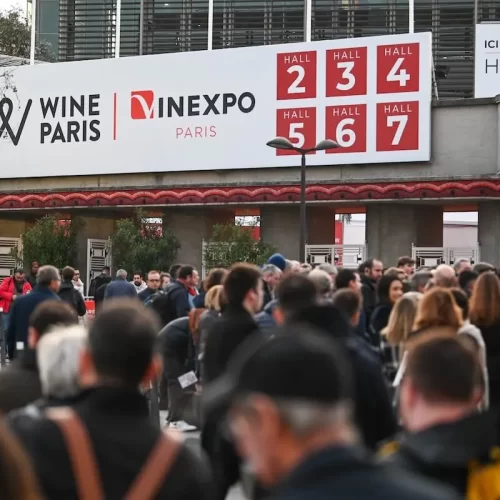 Wine Paris 2025: evento internacional reunirá 5.300 expositores de 50 países