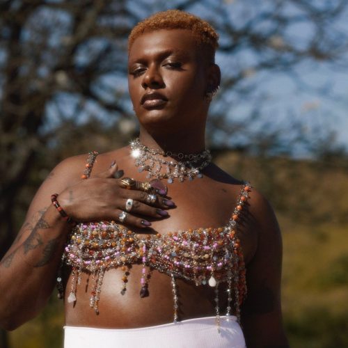 Liniker (foto: Rony Hernandes)