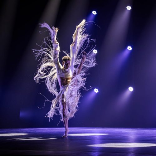 Focus Cia de Dança celebra 25 anos em Salvador com espetáculo inspirado em Ney Matogrosso