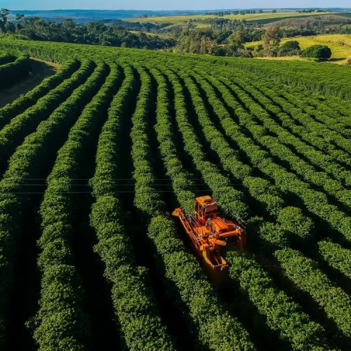 Projeto do Banco Mundial adota práticas sustentáveis de agricultura no Brasil