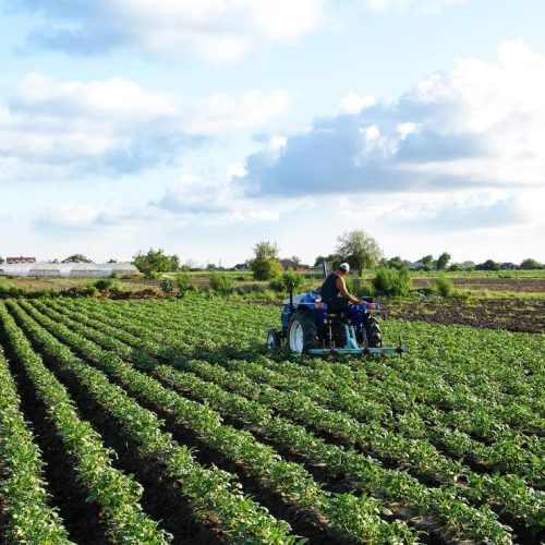 PIB do agronegócio na Bahia totaliza R$ 19,8 bi no primeiro trimestre de 2025