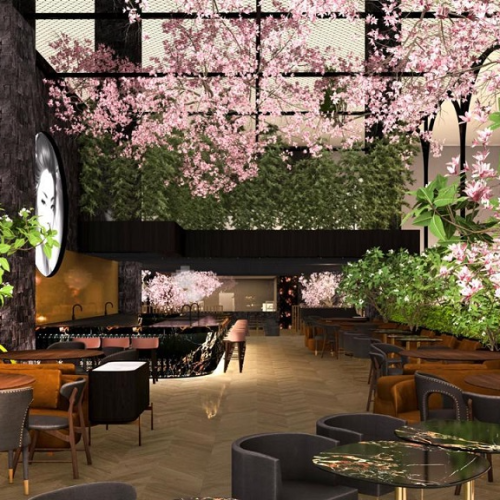 Salvador ganha restaurante com alta gastronomia asiática e chef premiado