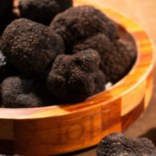 Crédito: Divulgação 