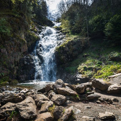 Sustentabilidade: delegação baiana faz visita técnica em parques naturais da França