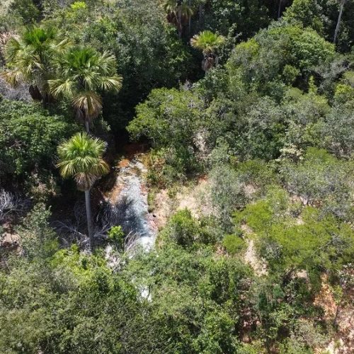 Evento da Pré-COP30 “Cerrado Summit” acontece em Luís Eduardo Magalhães