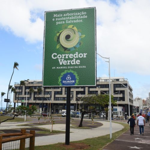 Corredor Verde: Salvador inicia programa de arborização com plantio de 115 árvores