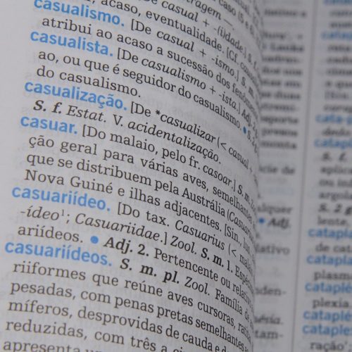 Saiba quais são as oito palavras novas que podem entrar oficialmente no idioma do Brasil