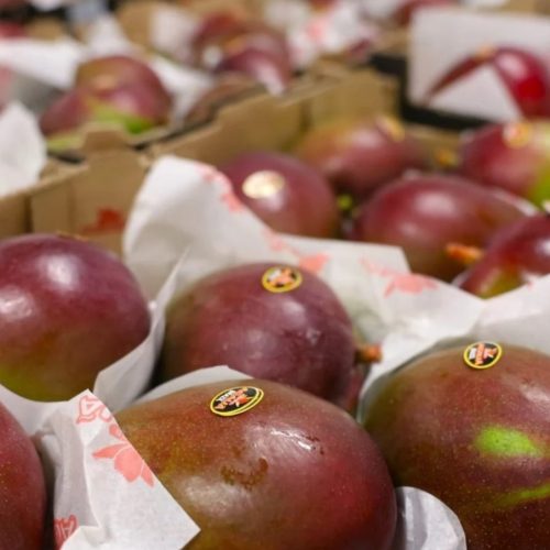 Exportações em aeroporto da Bahia aumentam 105% no primeiro semestre do ano