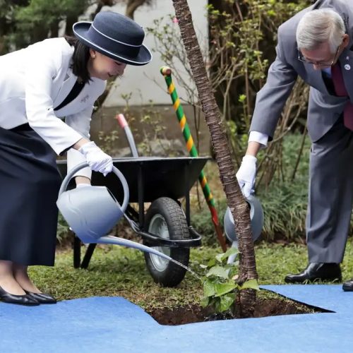 Princesa Kako, da família imperial do Japão, chega ao Brasil