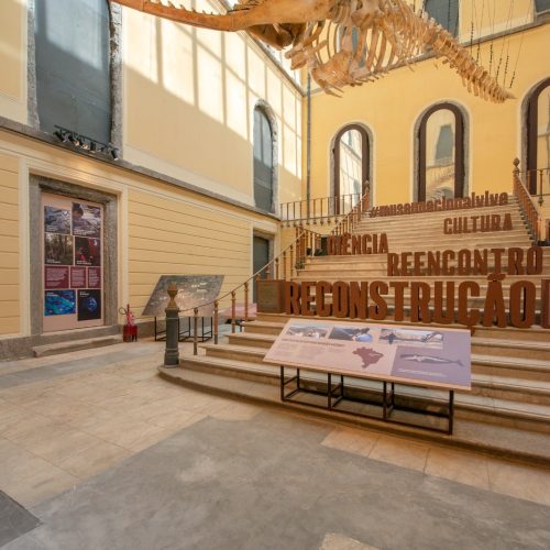 Meteorito Bendegó, achado na Bahia, é destaque na reabertura do Museu Nacional, no Rio de Janeiro
