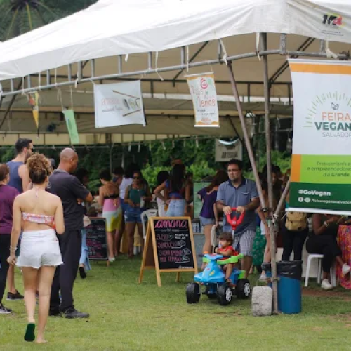 MAB recebe nova edição da Feira Vegana de Salvador neste final de semana