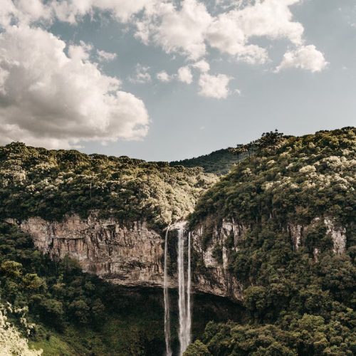 Entenda como funciona o recém-criado Fundo de Compensação Ambiental na Bahia