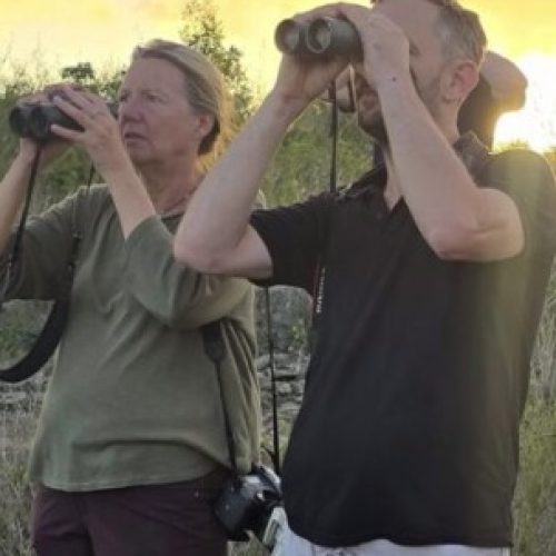 Bahia divulga roteiro especial para observação de aves na maior feira do ramo na América Latina