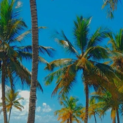 Decolar divulga lista de destinos mais procurados do Brasil; Bahia aparece quatro vezes na relação