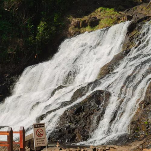 Conheça a Reserva Michelin, área protegida de Mata Atlântica que abriga novas espécies