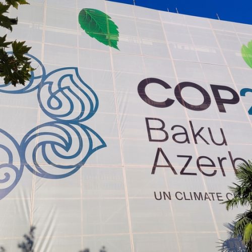 COP29 (Foto: Shutterstock)