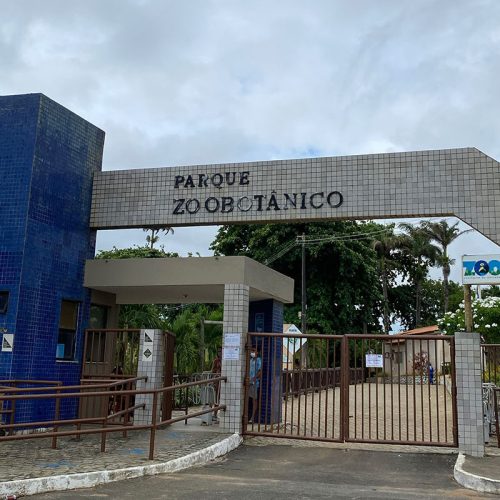 Zoológico de Salvador tem previsão de reabertura em maio